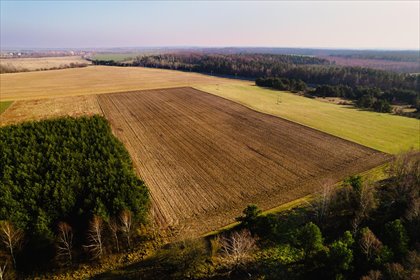 Działka 801 m2 pod zabudowę w Siemianicach, las, 20 km od Ustki działka Ustka, Działki przy lesie 20min od Ustki - OKAZJA!