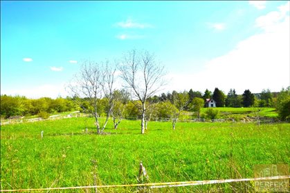 działka na sprzedaż Jedwabno Os. Rekreacji I Całoroczne Modrzewiowa /bukowa 1015 m2