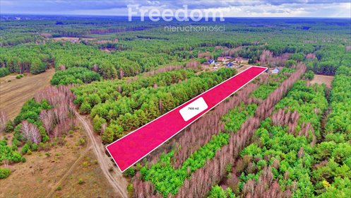 działka na sprzedaż 7906m2 działka Kalinowo