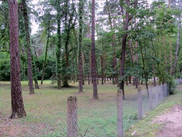 działka na sprzedaż 6182m2 działka Konstancin-Jeziorna, Konstancin-Jeziorna / strefa uzdrowiskowa A / plan miejscowy