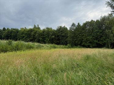 działka na sprzedaż 3900m2 działka Pawlikowice, Pawlikowice