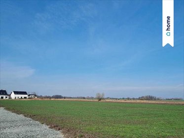 działka na sprzedaż 1100m2 działka Żórawina