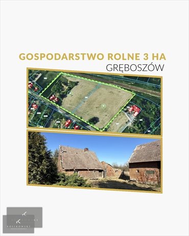 Dom z dużą działką i potencjałem w Gręboszowie. dom Gręboszów