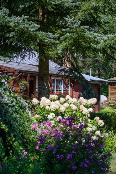 Do sprzedania działka z domem i stawami - inwestycja i rekreacja dom Stanisławów, Krótka