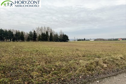 Działka budowlana 1650 m² w Lisewcu – plan zagospodarowania działka Lisewiec