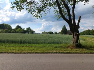 Sprzedam działkę 1800 m² z mediami blisko Nałęczowa działka Strzelce