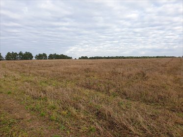 działka na sprzedaż 36m2 działka Żabinek