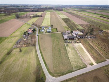 Działka 4207m² pod dom, sklep i biznes – szerokie możliwości działka Borki