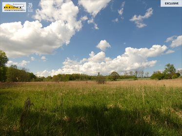 działka na sprzedaż 18300m2 działka Błotno