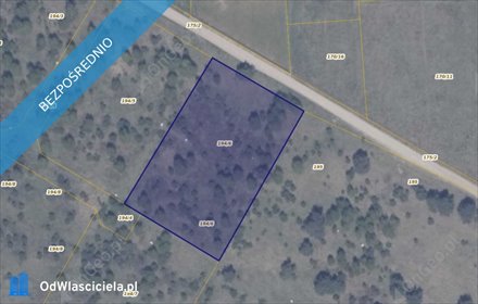 działka na sprzedaż 3002m2 działka Ełganowo