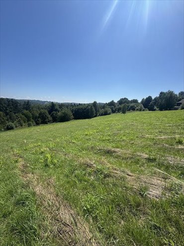 działka na sprzedaż 5163m2 działka Gwoźnica Dolna