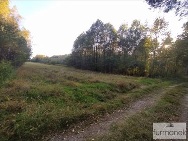 Działka inna na sprzedaż Lipiny Górne-Borowina 16 337m2 Foto 7