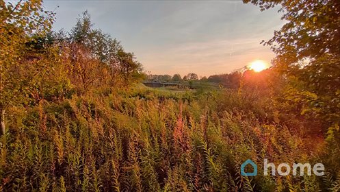 Działka 10 113 m² z warunkami zabudowy w Pędzewie działka Pędzewo