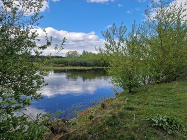 Działki z widokiem na Narwę w Nowogrodzie. działka Nowogród, Śródpolna