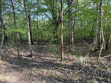 Do sprzedania działka 2500 m² w Milanówku z lasem i prywatnością działka Milanówek, Rososzańska