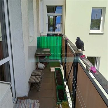 Mieszkanie 38 m² na Saskiej Kępie - polecam mieszkanie Warszawa, Praga-Południe, Saska Kępa, Ateńska