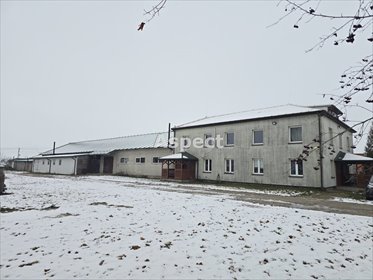 lokal użytkowy na sprzedaż 2000m2 lokal użytkowy Krubin