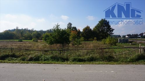 Działka budowlana na sprzedaż Żebry-Chudek 1 200m2 Foto 2