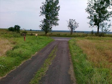 działka na sprzedaż 6230m2 działka Koronowo, Stopka