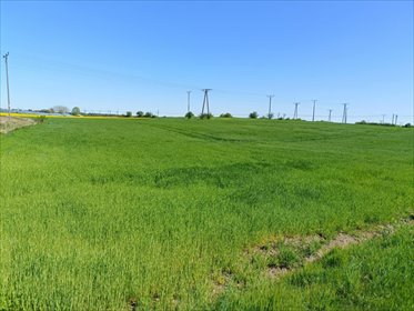 działka na sprzedaż 16900m2 działka Strachocin