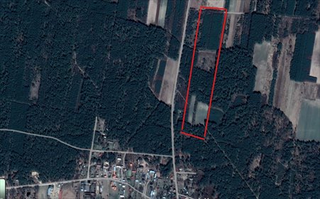 działka na sprzedaż 55100m2 działka Stare Lipki, Stare Lipki