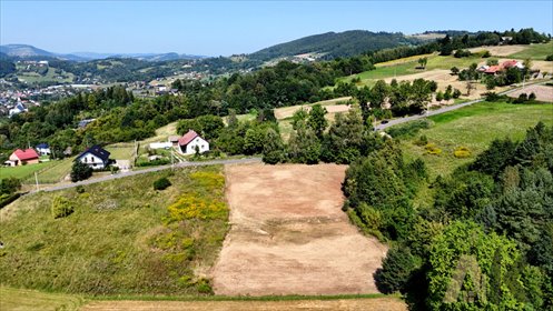 działka na sprzedaż 3200m2 działka Wielogłowy