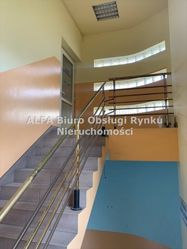 Lokal użytkowy na wynajem Łódź, Górna, Chojny, Budowlana 170m2 Foto 3