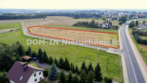 Działka budowlana na sprzedaż Gorzyczki, Raciborska 6 600m2 Foto 5