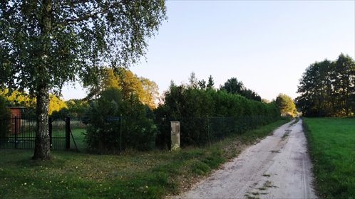 działka na sprzedaż 10100m2 działka Pelagia, Pelagia