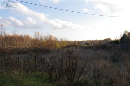 Działka siedliskowa na sprzedaż Choszczówka Dębska 4 337m2 Foto 4