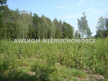 Sprzedam działkę 5787 m² w Zarębach z mediami i dojazdem asfaltowym działka Zaręby