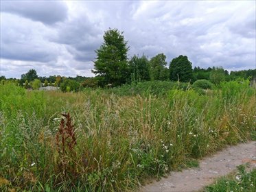 Do sprzedania działka 2002 m² z warunkami zabudowy w Zgierzu działka Biała