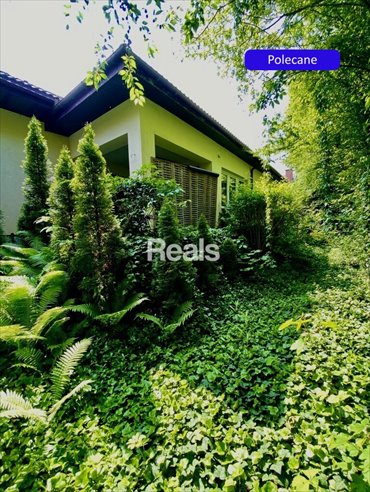 lokal użytkowy na sprzedaż 285m2 lokal użytkowy Jadwisin, Książęca