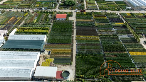 działka na wynajem 10600m2 działka Bronisze, Poznańska