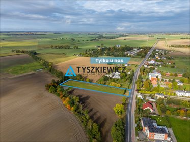 działka na sprzedaż 3000m2 działka Silno