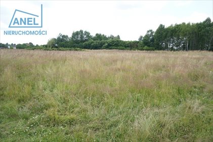 Działka inna pod dzierżawę Mikołów, Borowa Wieś 541m2 Foto 1
