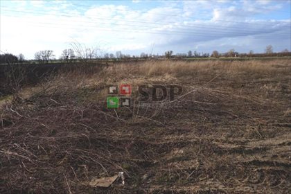 Działka komercyjna na sprzedaż Zabrodzie 21 362m2 Foto 4