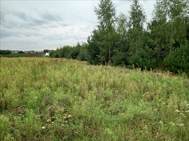 Działka rolna na sprzedaż Promna-Kolonia, Promna 11 400m2 Foto 7