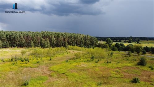 Działka rolna na sprzedaż Miłocice Małe 70 700m2 Foto 3