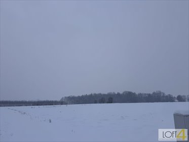 działka na sprzedaż 7700m2 działka Łukowa