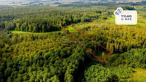 działka na sprzedaż 15400m2 działka Dobrzyniówka