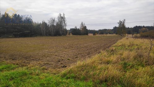 działka na sprzedaż 2985m2 działka Budki Żelazowskie