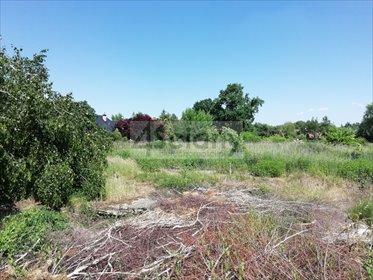 działka na sprzedaż 3660m2 działka Warszawa, Ursynów, Dąbrówka