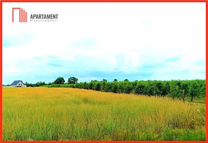 działka na sprzedaż 1552m2 działka Szczutki