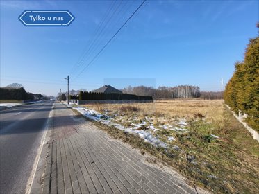 działka na sprzedaż 4980m2 działka Kokawa, Mikołaja Kopernika