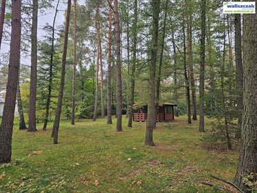 Działka z domkiem i garażem w Bądzyńiu – idealna pod budowę działka Bądzyń