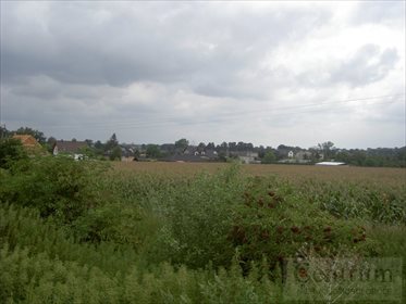 Działka inwestycyjna na sprzedaż Opole, Krzanowice 12 000m2 Foto 1