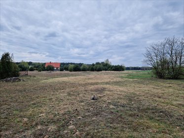 działka na sprzedaż 1500m2 działka Kotowice