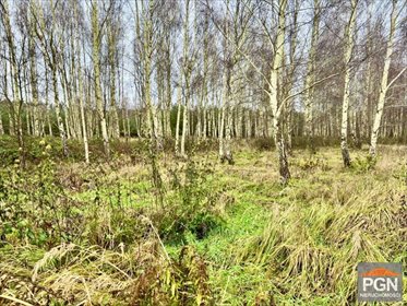 działka na sprzedaż 1535m2 działka Sierosław