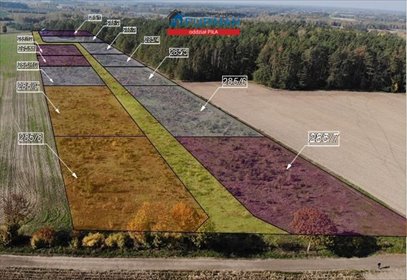 działka na sprzedaż 3000m2 działka Biała